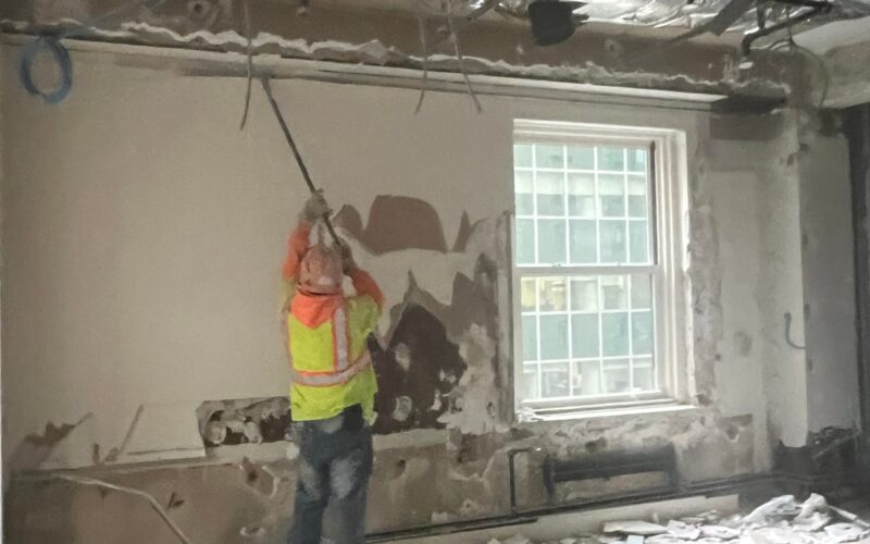 andrew horan alba services